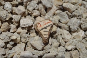 Caleta Los Hornos: Arkeologiske utgravningssteder for fotturer