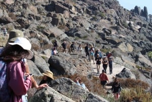 Caleta Los Hornos: Caminhada em sítios arqueológicos
