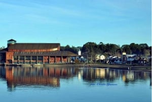 Cancagua Spa and Frutillar, full day