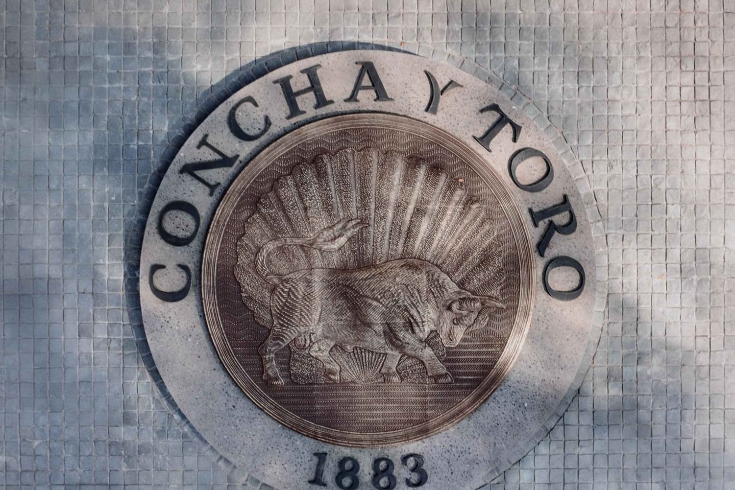 Doświadczenie Casa Don Melchor i Parque Concha y Toro