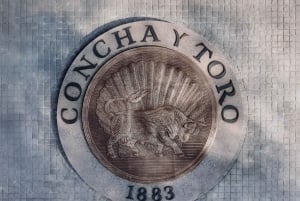 Doświadczenie Casa Don Melchor i Parque Concha y Toro