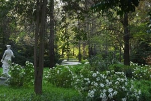 Doświadczenie Casa Don Melchor i Parque Concha y Toro