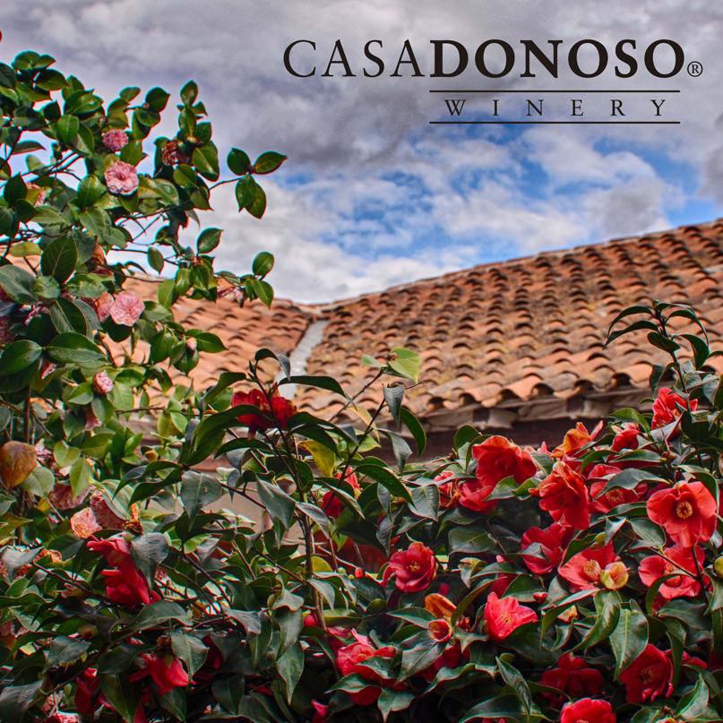 Casa Donoso Winery