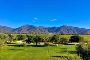 Casablanca Valley: tour langs 3 wijnhuizen met 11 wijnproeverijen