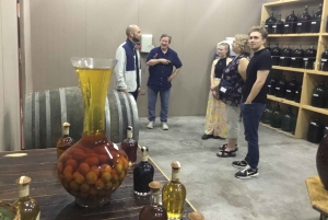 Dolina Casablanca: wycieczka do 3 winnic z degustacją 11 win