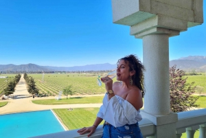 Casablanca Valley: 4 Vineyards with 1 or 3 Wine Tastings