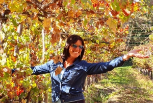 Casablanca Valley: 4 Vineyards with 1 or 3 Wine Tastings
