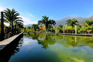 Casablanca Valley: 4 Vineyards with 1 or 3 Wine Tastings