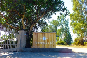 Casablanca Valley: 4 Vineyards with 1 or 3 Wine Tastings