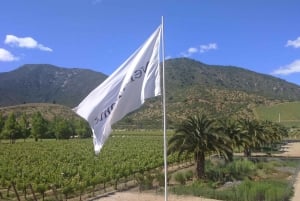 Casablanca Valley: Full-Day Private Wine Tour