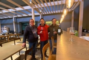 Casablanca Valley: Private Wine Tour of Veramonte and Viñamar Vineyards