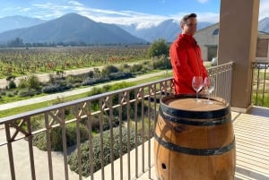Casablanca Valley: Private Wine Tour of Veramonte and Viñamar Vineyards