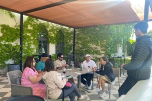 Casablanca Valley: Private Wine Tour of Veramonte and Viñamar Vineyards