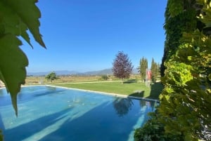 Casablanca Valley: Private Wine Tour of Veramonte and Viñamar Vineyards