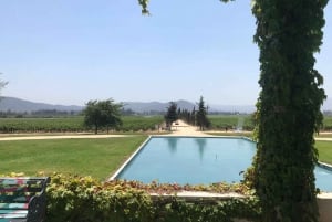 Casablanca Valley Wine Experience