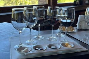 Valparaíso to Casablanca: wine tour with premium tasting and transportation