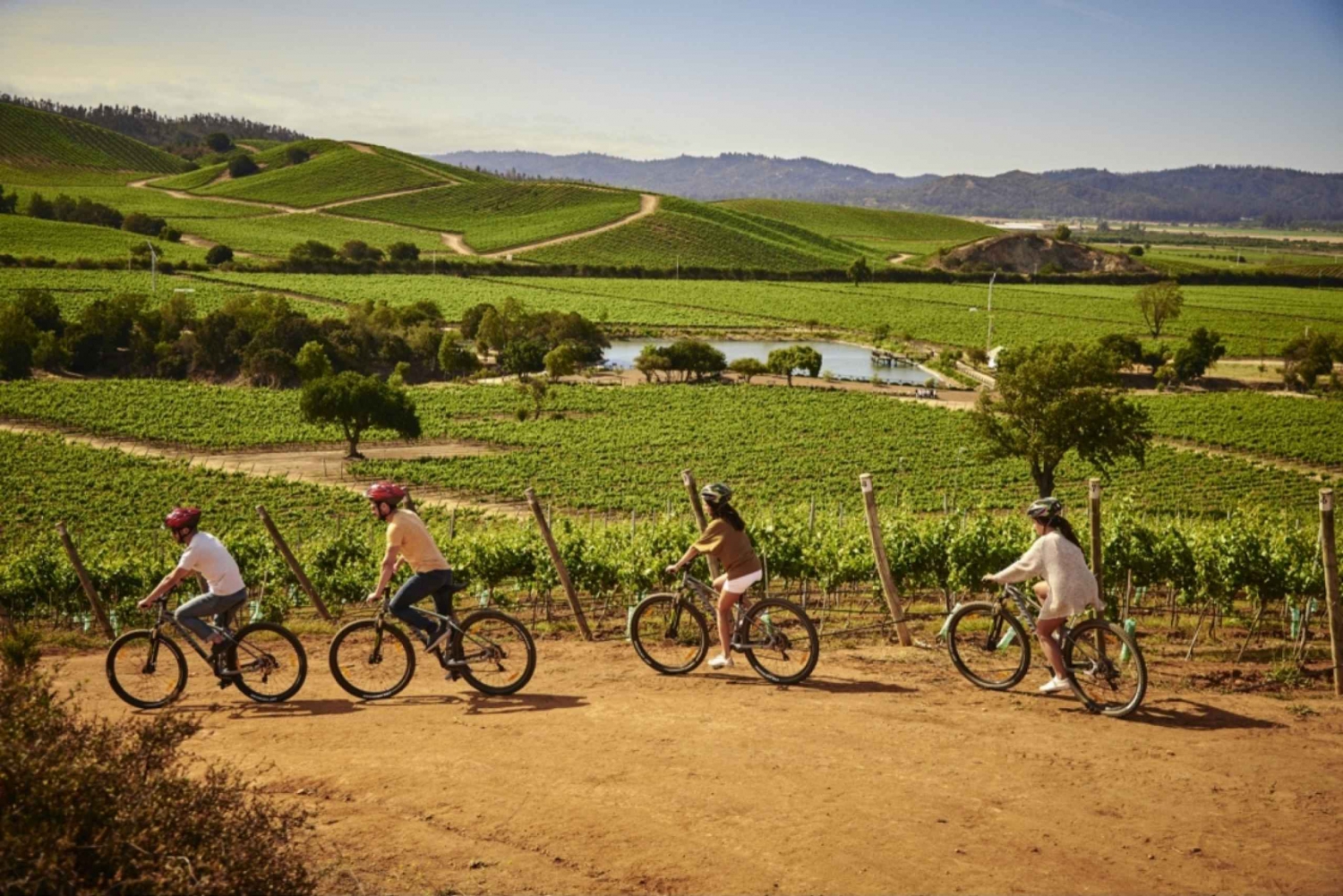 Santiago: Casablanca Guided Bike and Wine Tour with Lunch