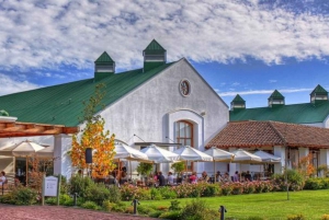 Santiago: Casablanca Guided Bike and Wine Tour with Lunch