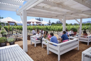 Santiago: Casablanca Guided Bike and Wine Tour with Lunch