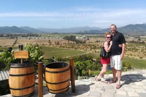 Santiago: Casablanca Valley Wine Tasting and Lunch at Tanino