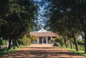'Casas del Bosque Winery - Premium Tour.'