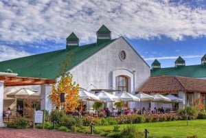 'Casas del Bosque Winery - Premium Tour.'