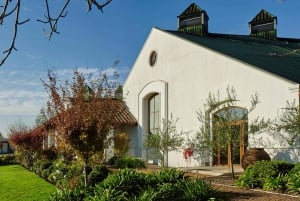 'Casas del Bosque Winery - Premium Tour.'