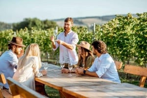 'Casas del Bosque Winery - Premium Tour.'