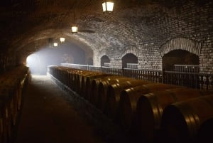 Casillero del Diablo Night Tour with Dinner in Concha y Toro