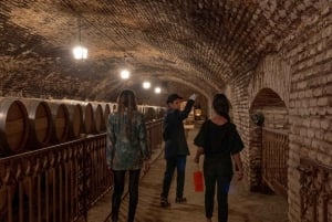 Casillero del Diablo Night Tour with Dinner in Concha y Toro