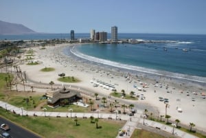 Playa Cavancha