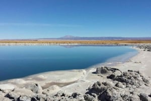 Cejar-lagunen, saltslettens øjne og Tebinquinche-lagunen