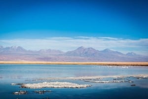 Cejar-lagunen, saltslettens øjne og Tebinquinche-lagunen