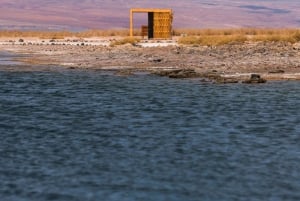 Laguna Cejar: ¡flota en las lagunas más famosas de Atacama!