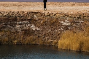 Laguna Cejar: ¡flota en las lagunas más famosas de Atacama!