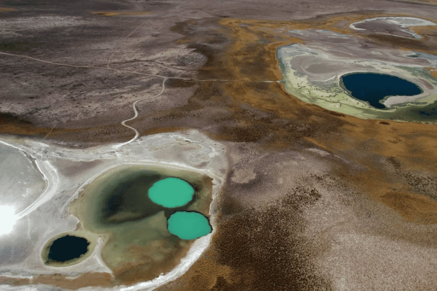 Laguna Cejar, Ojos del Salar i Tebenquinche