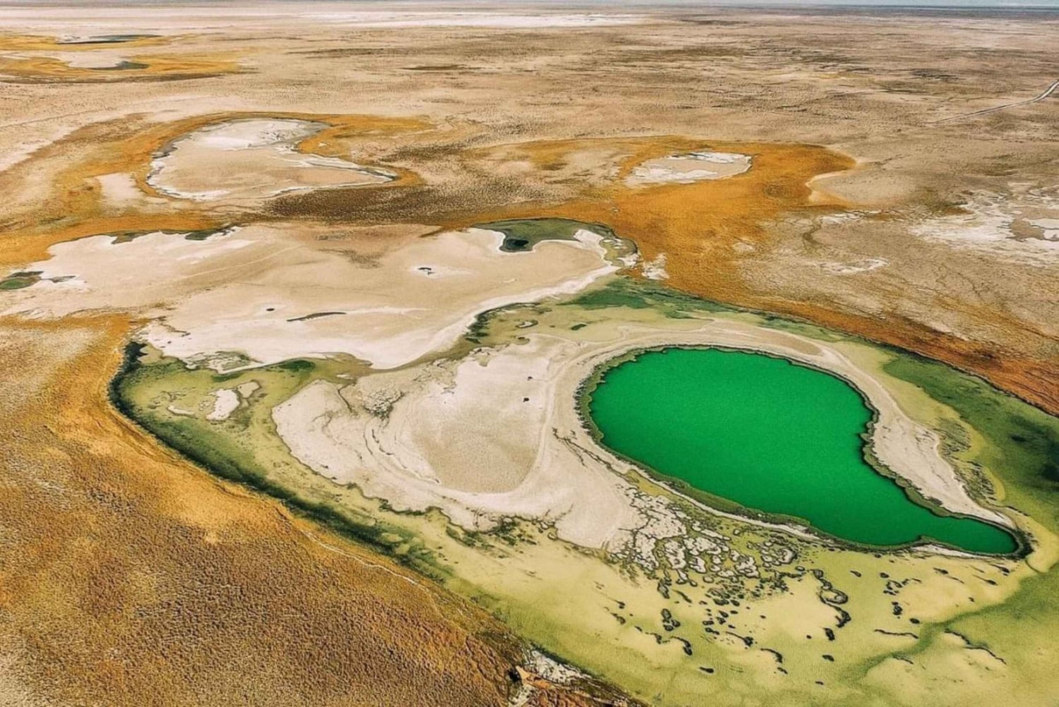 Laguna Cejar, Ojos del Salar i Tebenquinche