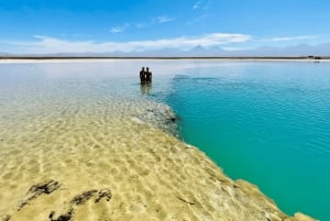 Cejar Lagoon, Ojos del Salar, and Tebenquinche