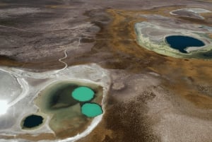 Cejar Lagoon, Ojos del Salar, and Tebenquinche