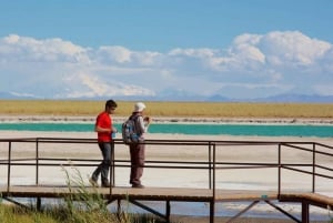Cejar Lagoon, Ojos del Salar, and Tebenquinche