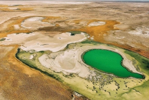 Cejar Lagoon, Ojos del Salar, and Tebenquinche