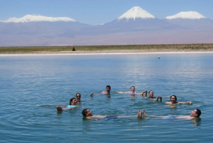 Cejar Lagoon, Ojos del Salar, and Tebenquinche