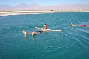 Cejar Lagoon, Ojos del Salar, and Tebenquinche