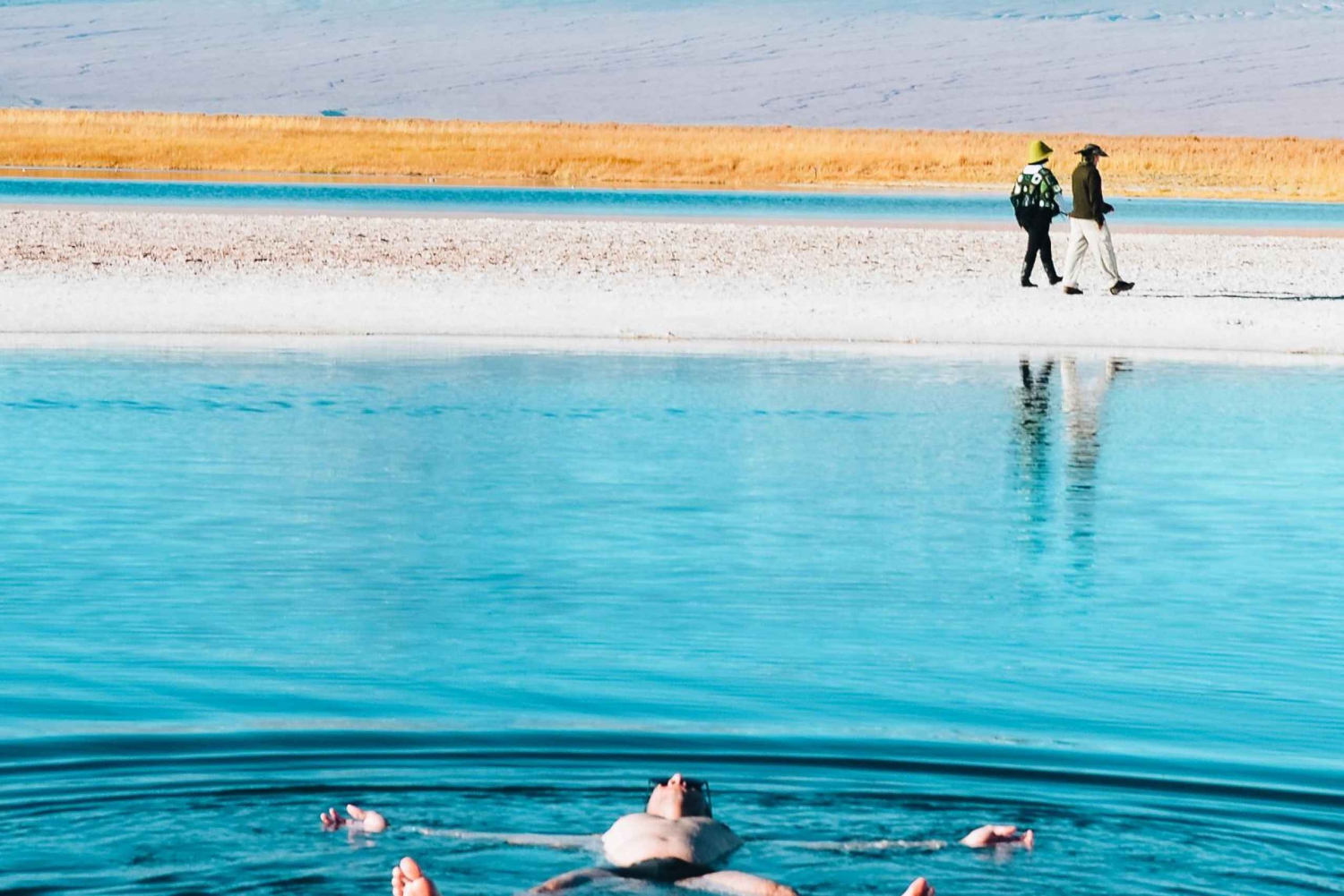 San Pedro de Atacama: Tour of Salar de Atacama Lagoons