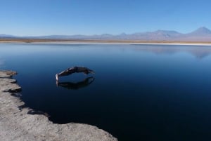 CEJAR LAGOON, SALT FLAT EYES AND TEBINQUINCHE LAGOON