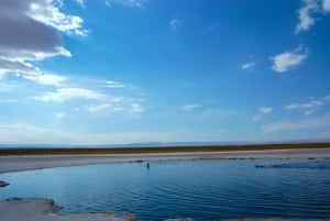 CEJAR LAGOON, SALT FLAT EYES AND TEBINQUINCHE LAGOON