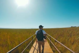 Excursión a la Laguna de Cejar - ¡Flotación, Cóctel y Más!'
