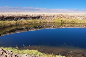 Tag på tur til Laguna Cejar