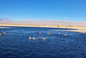 Tag på tur til Laguna Cejar