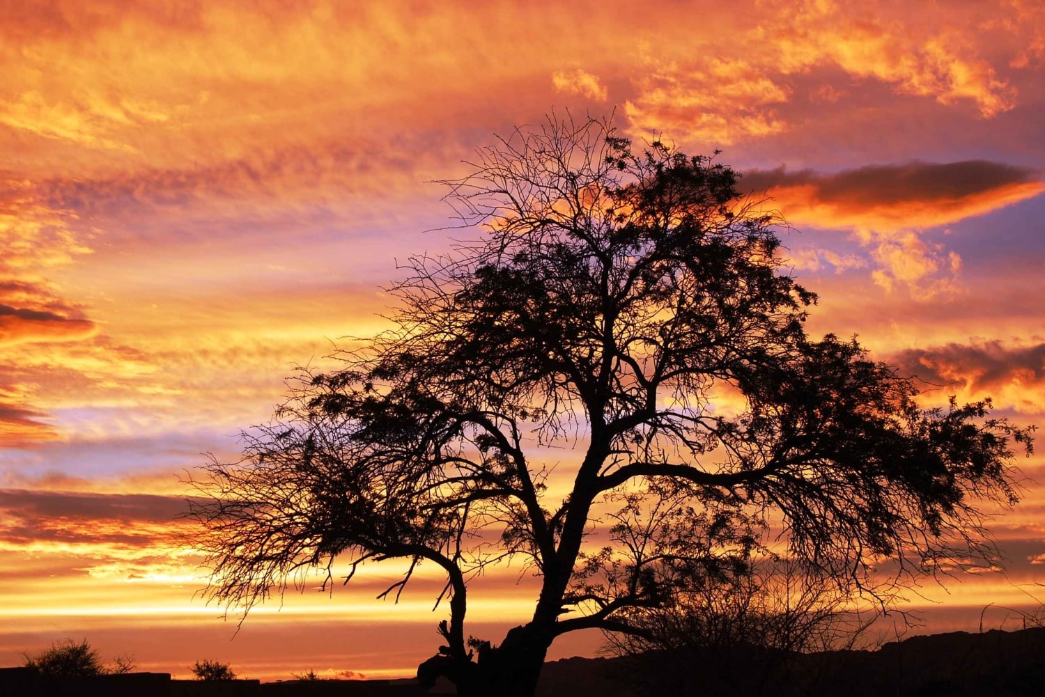 Circuit des lagunes de Cejar et Tebenquiche avec Ojos del Salar Atacama